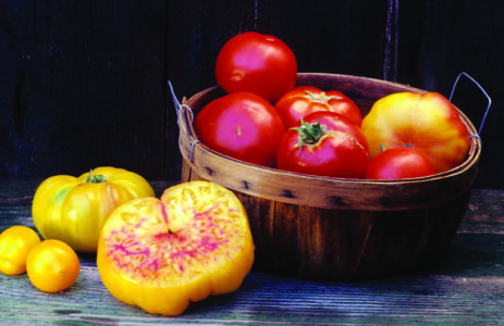 red and yellow tomatoes